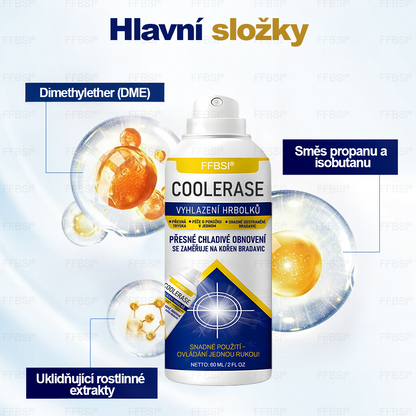 FFBSI® 💕 CoolErase Sprej pro regeneraci pokožky (Bradavice, Puchýře, Ekzém, Lupy, Kožní keratózy, Akné, Kožní výrůstky, Jizvy, Mateřská znaménka)